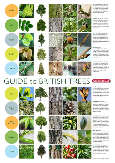 Guide To K.